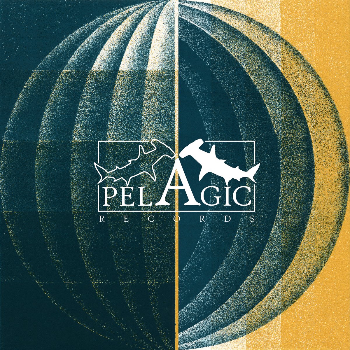 Pelagic